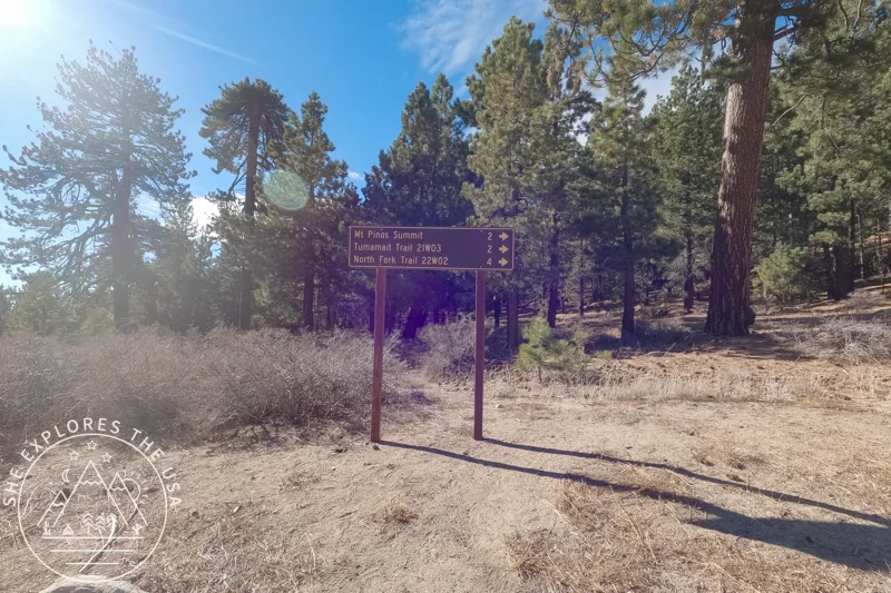 Mount Pinos and Sawmill Mountain trailhead sign