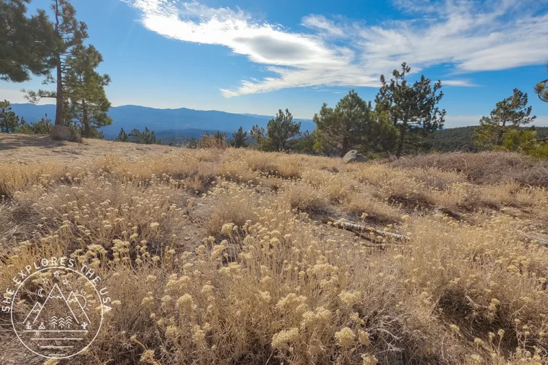 hiking Sawmill Mountain: chumash wilderness 3