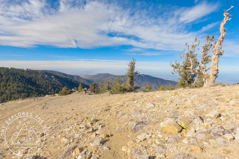 chumash wilderness 2