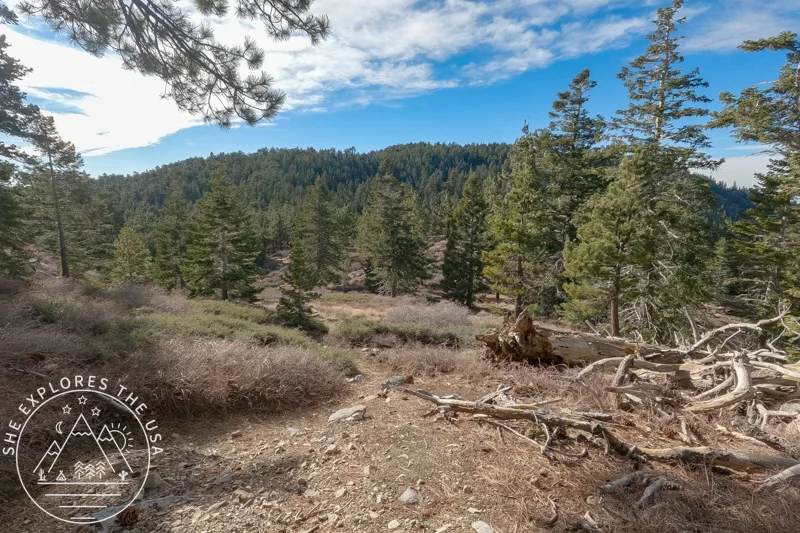 chumash wilderness 1