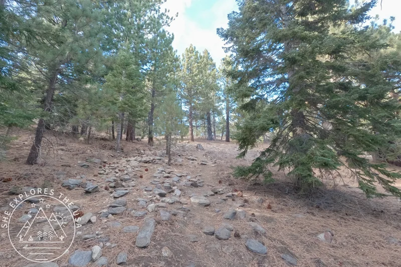 trail to Sawmill Mountain 2