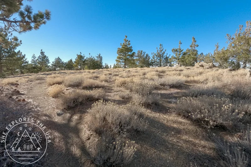 Sawmill Mountain trail