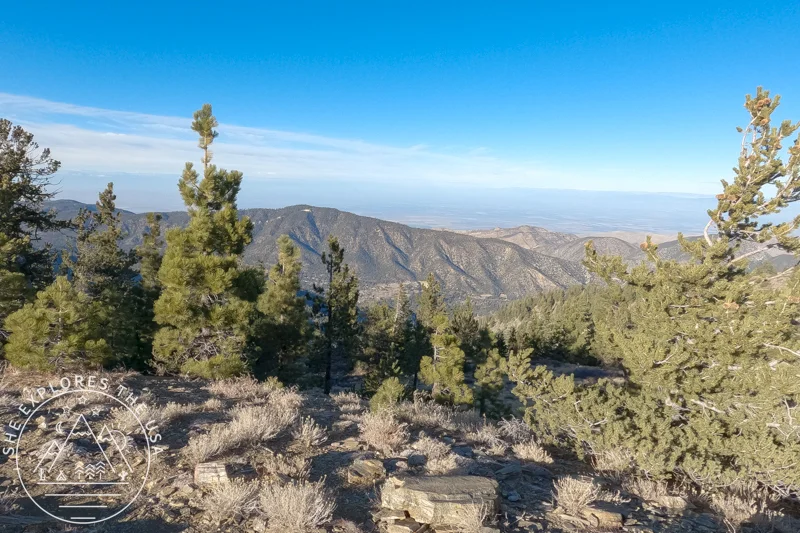 view from Sawmill Mountain 2