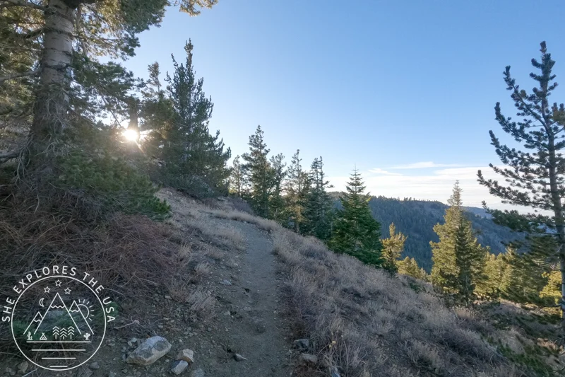 Sawmill Mountain hike: chumash wilderness 1