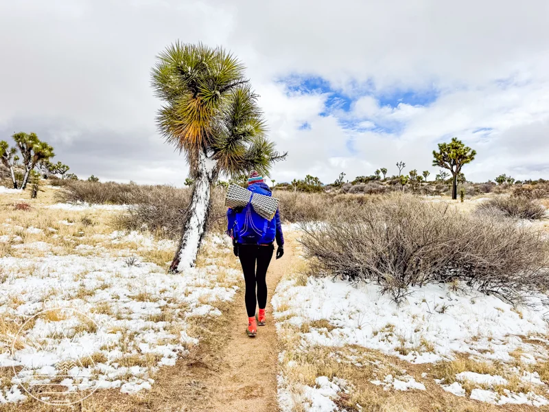 Altra Lone Peak 9 in Joshua Tree