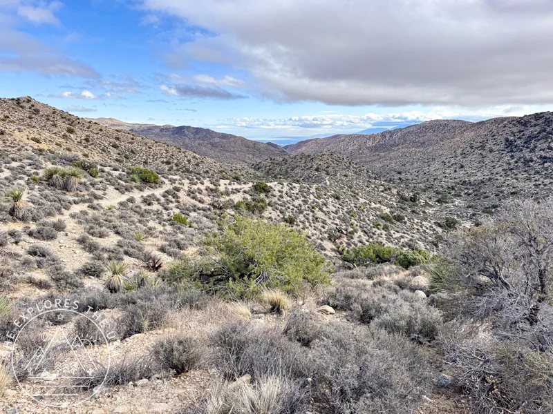Desert section of day 1 on CRHT 2