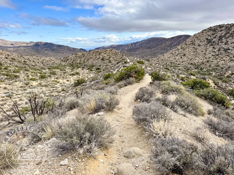 Desert section of day 1 on CRHT 3