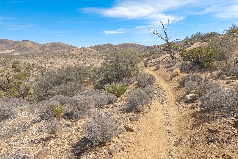 final downhill section before reaching Juniper flats