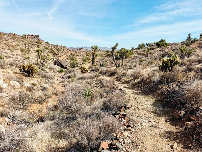 rockier and rugged trail in lost horse section of CRHT 2