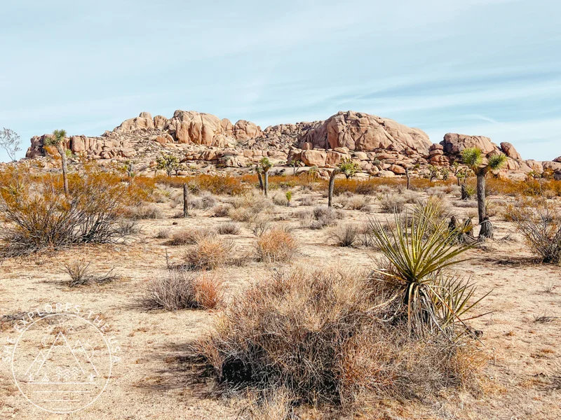 gorgeous jumbo rocks views on CRHT