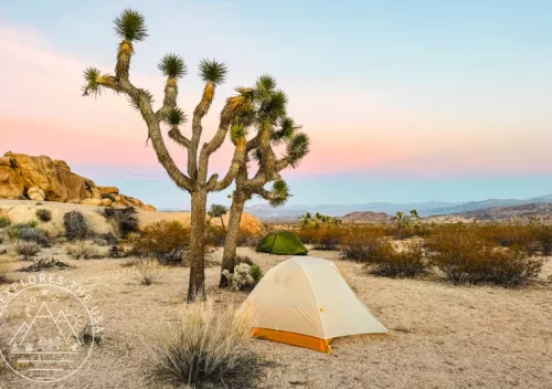 Backpacking The California Riding & Hiking Trail in Joshua Tree National Park
