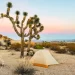 Backpacking The California Riding & Hiking Trail in Joshua Tree National Park