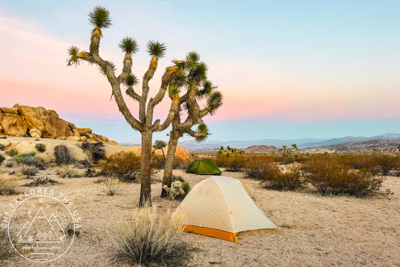 Backpacking The California Riding & Hiking Trail in Joshua Tree National Park