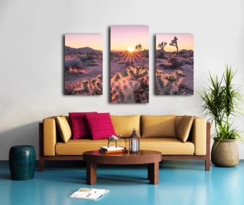 Joshua Tree Art: Sunset Canvas Triptych with Cholla Cactus (54x36")