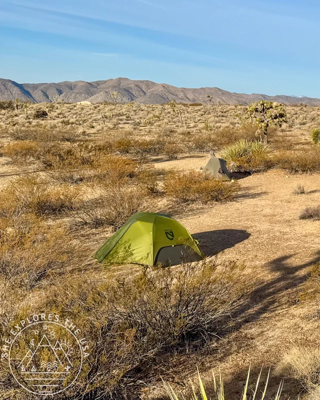 NEMO Dragonfly OSMO 2P Tent daytime