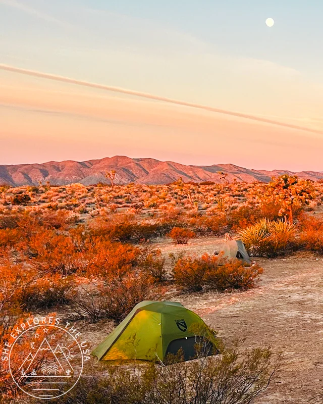 NEMO Dragonfly OSMO 2P Tent sunset