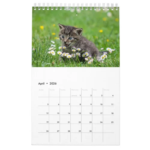 SINGLE PAGE LAYOUT Create Your Own Pet Cat Photos 2025 Small Calendar Zazzle