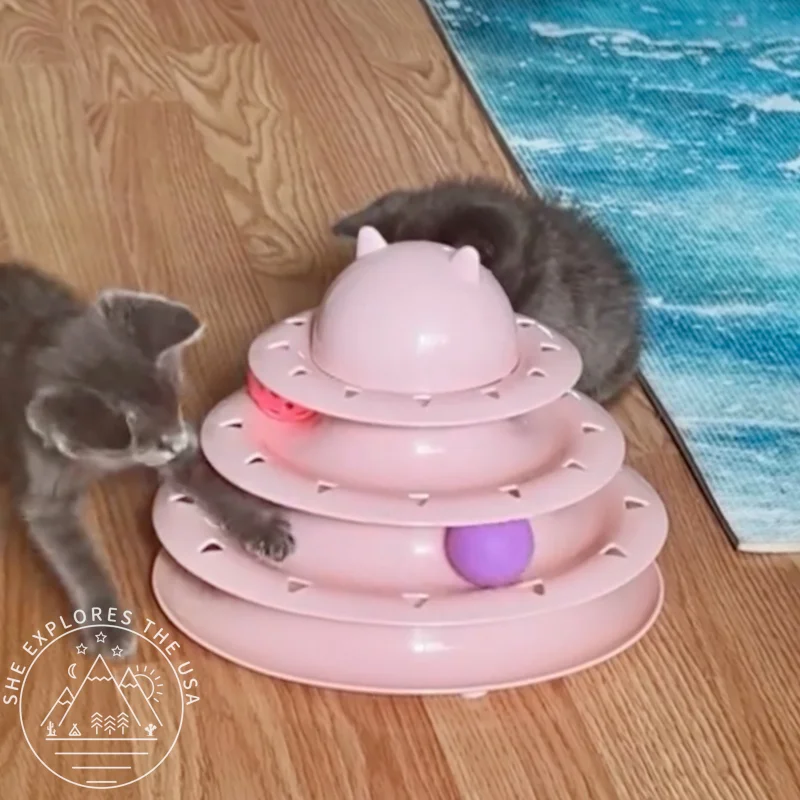 gray foster kittens playing with the cat toy roller