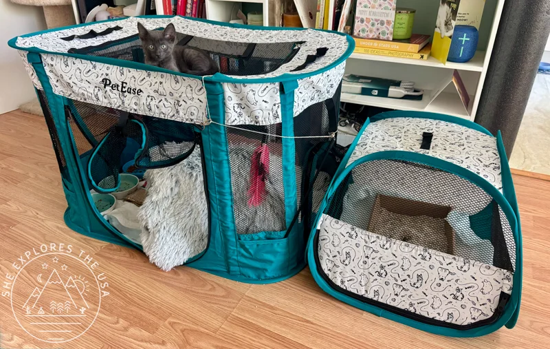 foster kitten playpen 