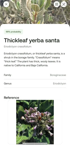 AllTrails Outdoor Lens