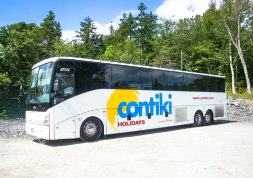 Are Contiki Tours Worth It? Honest Review After Many Trips