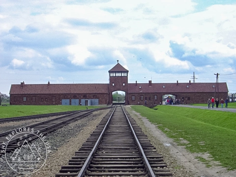 Eastern Road Contiki Tour - Auschwitz