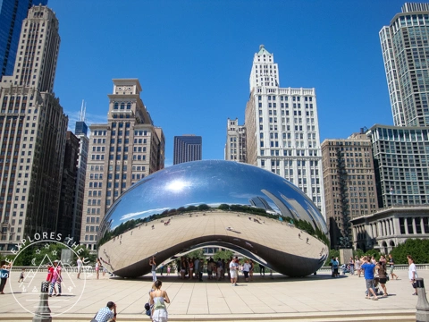 North by North East Contiki Tour - Chicago