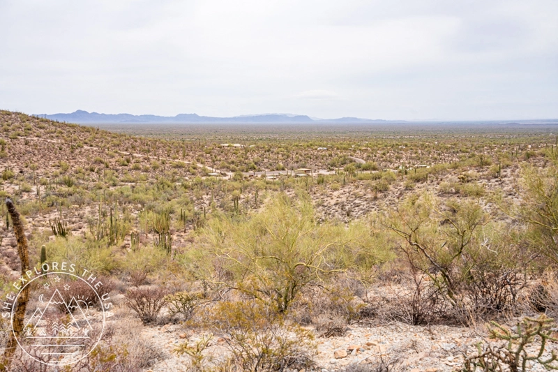 expansive view of the desert on Desert View Trail