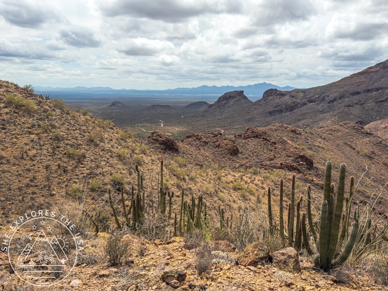 Estes Canyon / Bull Pasture Trail views