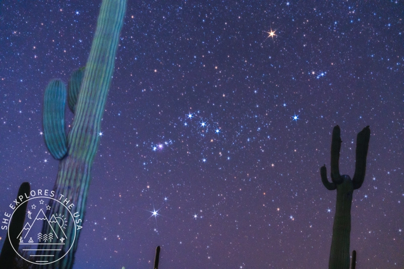 The Orion constellation visible in the star-filled night sky above saguaro cactus silhouettes at Organ Pipe Cactus National Monument, Arizona.