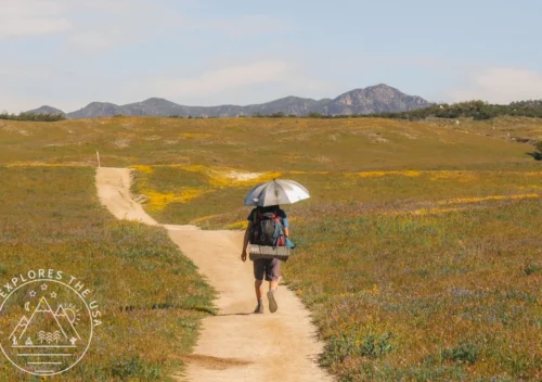 Amazon Haul Budget Friendly Gear for Hikers & Backpackers
