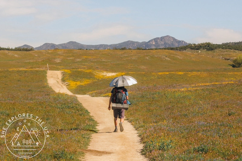 Amazon Haul Budget Friendly Gear for Hikers & Backpackers
