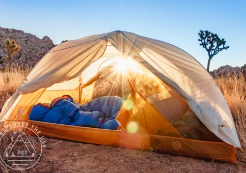 REI Anniversary Sale 2026 with Best Deals on Outdoor Gear. A camping tent pitched in a desert landscape during a golden hour sunrise, featuring a blue sleeping bag inside and a Joshua tree in the background.