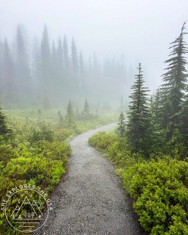 the foggy skyline loop trail on way back to Paradise Inn