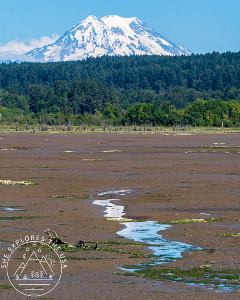Mt Rainier from Billy Frank Jr. Nisqually National Wildlife Refuge