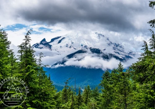 My Mount Rainier National Park Adventure