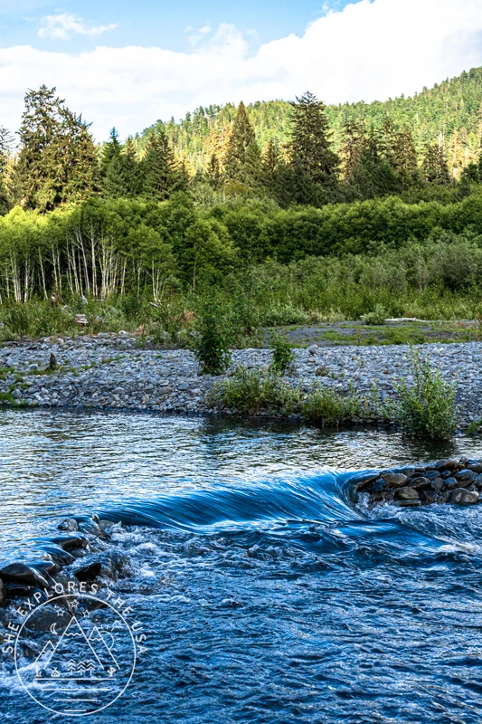 Olympic national park rainforest and river