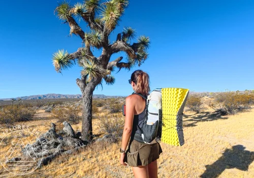What I Pack for a 22L Overnight Backpacking Trip