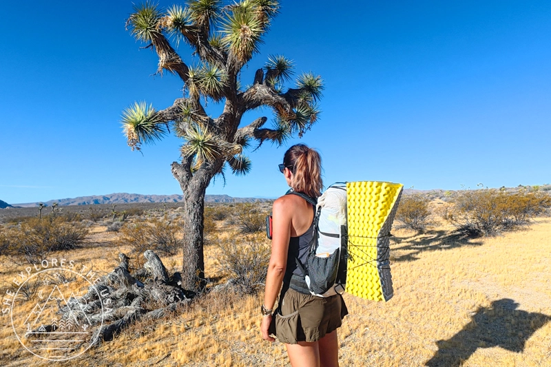 A woman looking at a joshua tree away from the camera, and carrying a hyperlite elevate 22L backpack with a z sol lite sleeping pad attached to it to illustrate What I Pack for a 22L Overnight Backpacking Trip