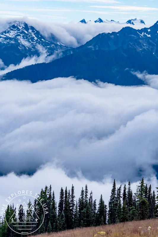 Panoramic view of a sea of fog and cloud inversion in the valley at Hurricane Ridge.