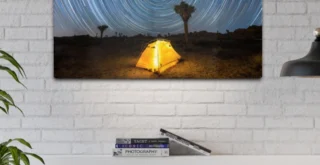 Joshua Tree Metal Print - Joshua Tree National Park souvenir