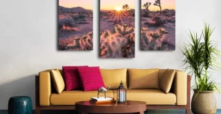 Joshua Tree National Park souvenir... Joshua Tree Art: Sunset Canvas Triptych with Cholla Cactus (54x36")