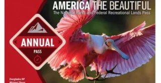 America the Beautiful Pass