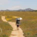 Amazon Haul Budget Friendly Gear for Hikers & Backpackers