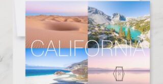 California Souvenir Postcard