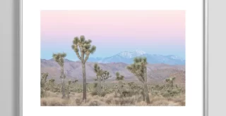 Joshua Tree FRAMED ART PRINT